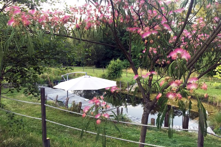 Piscine naturelle O Saveur