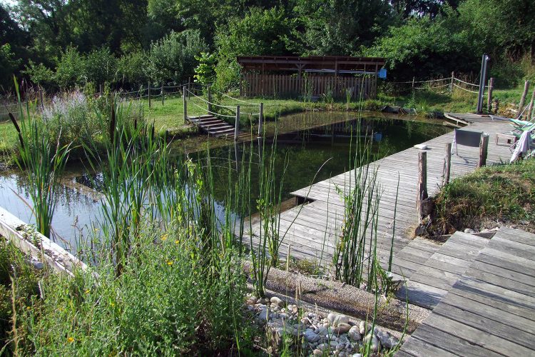 Piscine naturelle O Saveur